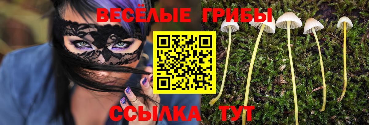 Псилоцибиновые грибы Psilocybine cubensis Набережные Челны